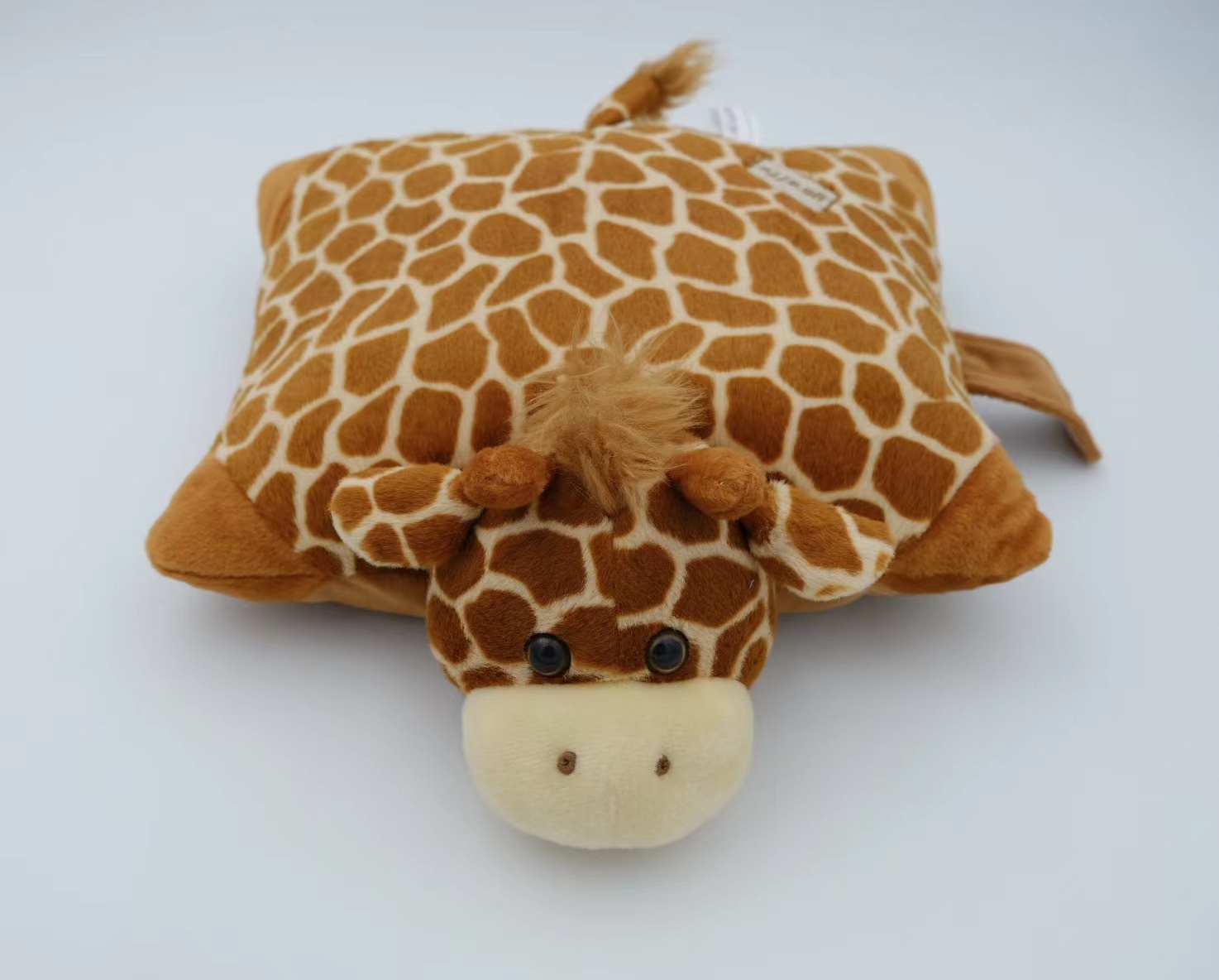 Cushion
